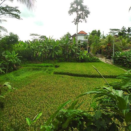 Mandala Hostel Ubud Exterior photo